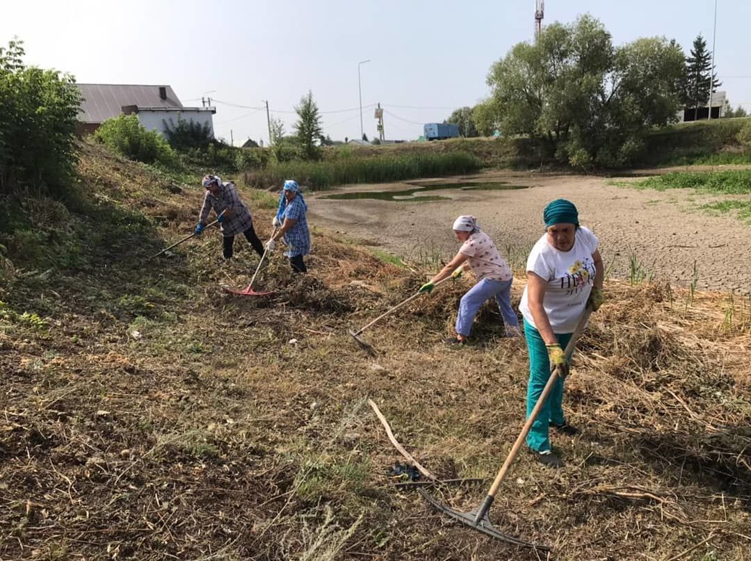 В селе Бурметьево Нурлатского района провели экологический десант