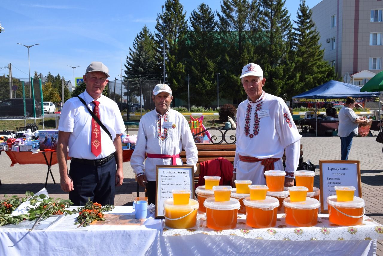 В Нурлате прошел первый фестиваль меда