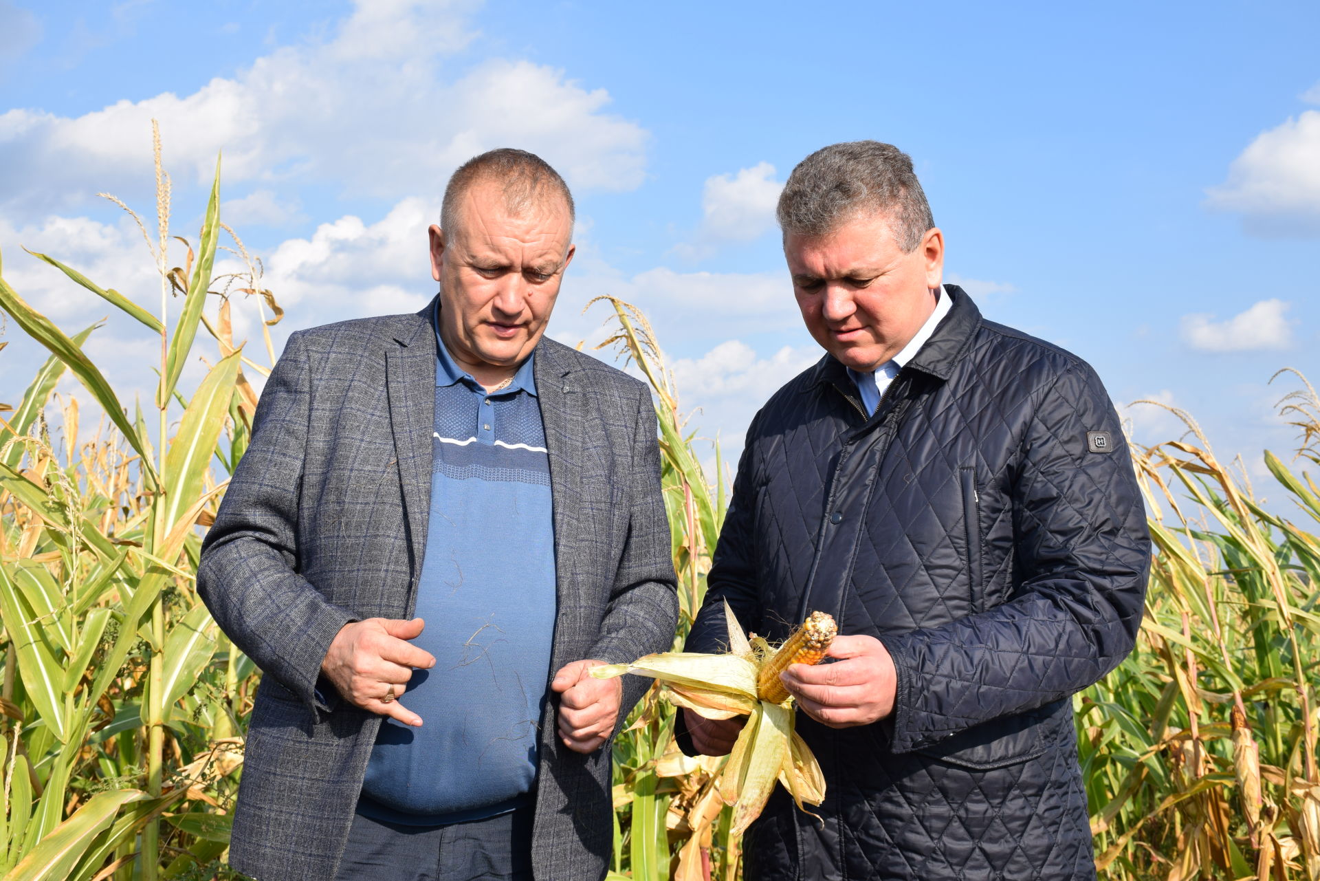 Глава Нурлатского района ознакомился с ходом уборки кукурузы на полях АФ «Южная»