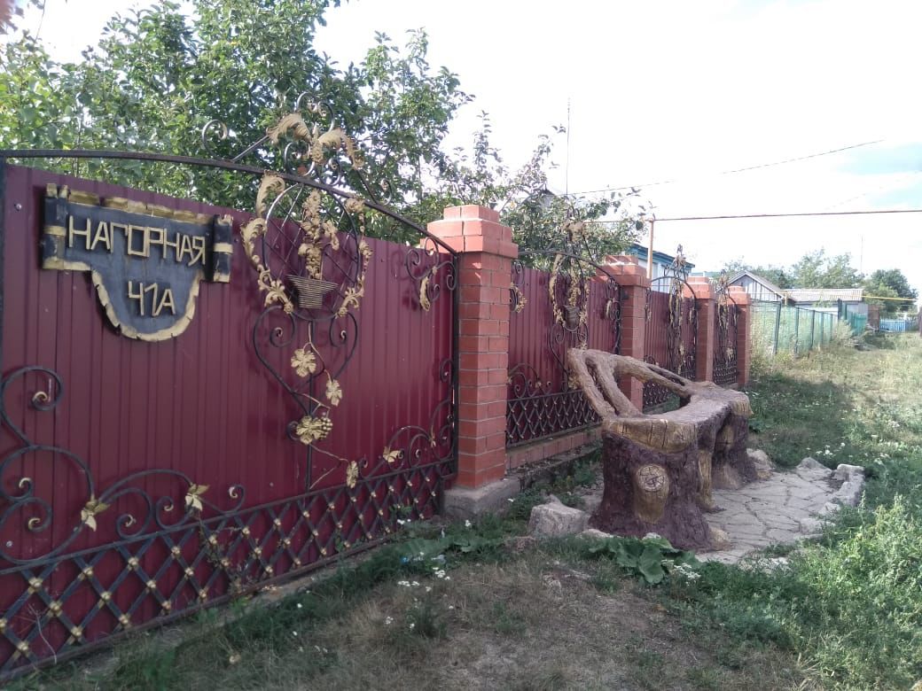 В деревне Урняк сказочный дом семьи Задитовых привлекает особое внимание