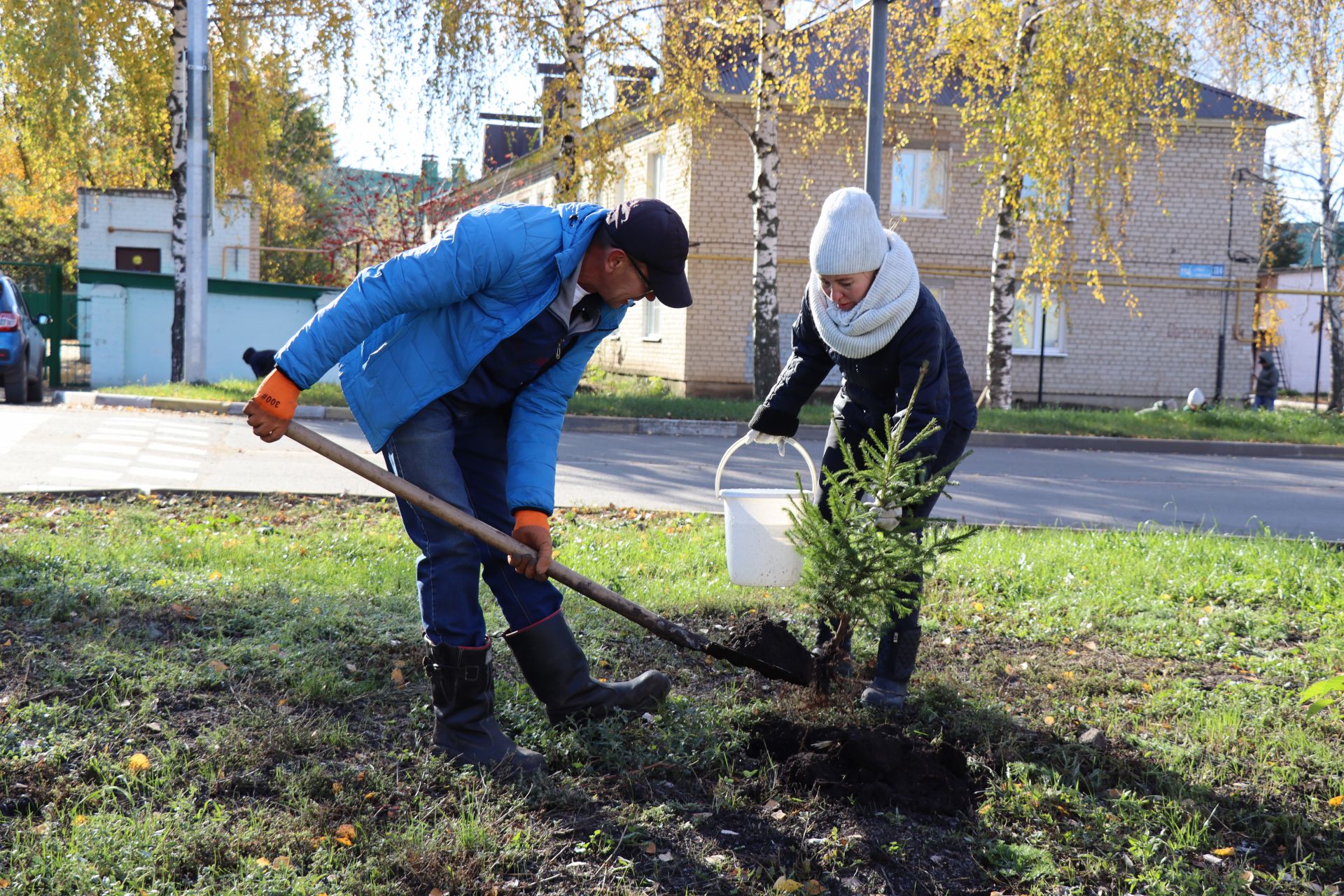 В городе Нурлат прошел День посадки деревьев