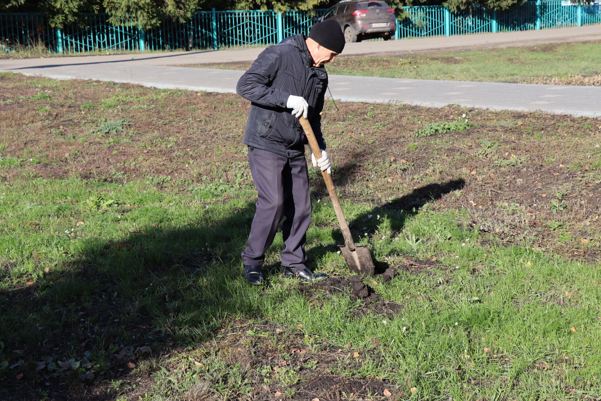 В городе Нурлат прошел День посадки деревьев