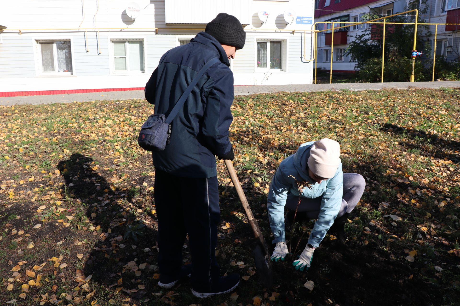 В городе Нурлат прошел День посадки деревьев