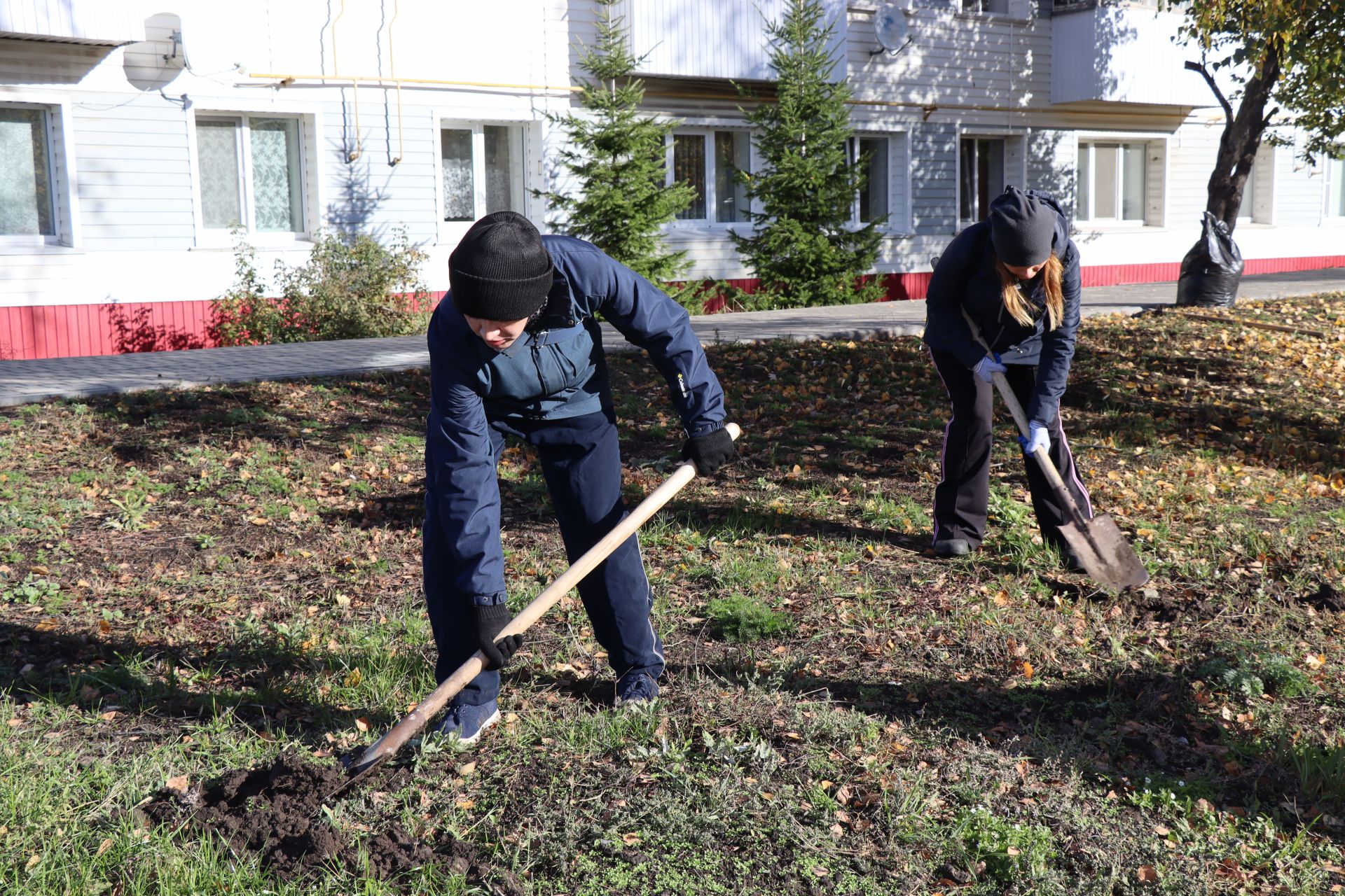 В городе Нурлат прошел День посадки деревьев