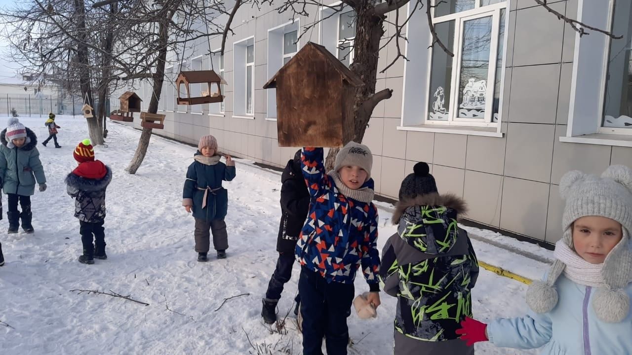 Нурлатские школьники организовали «птичью столовую»