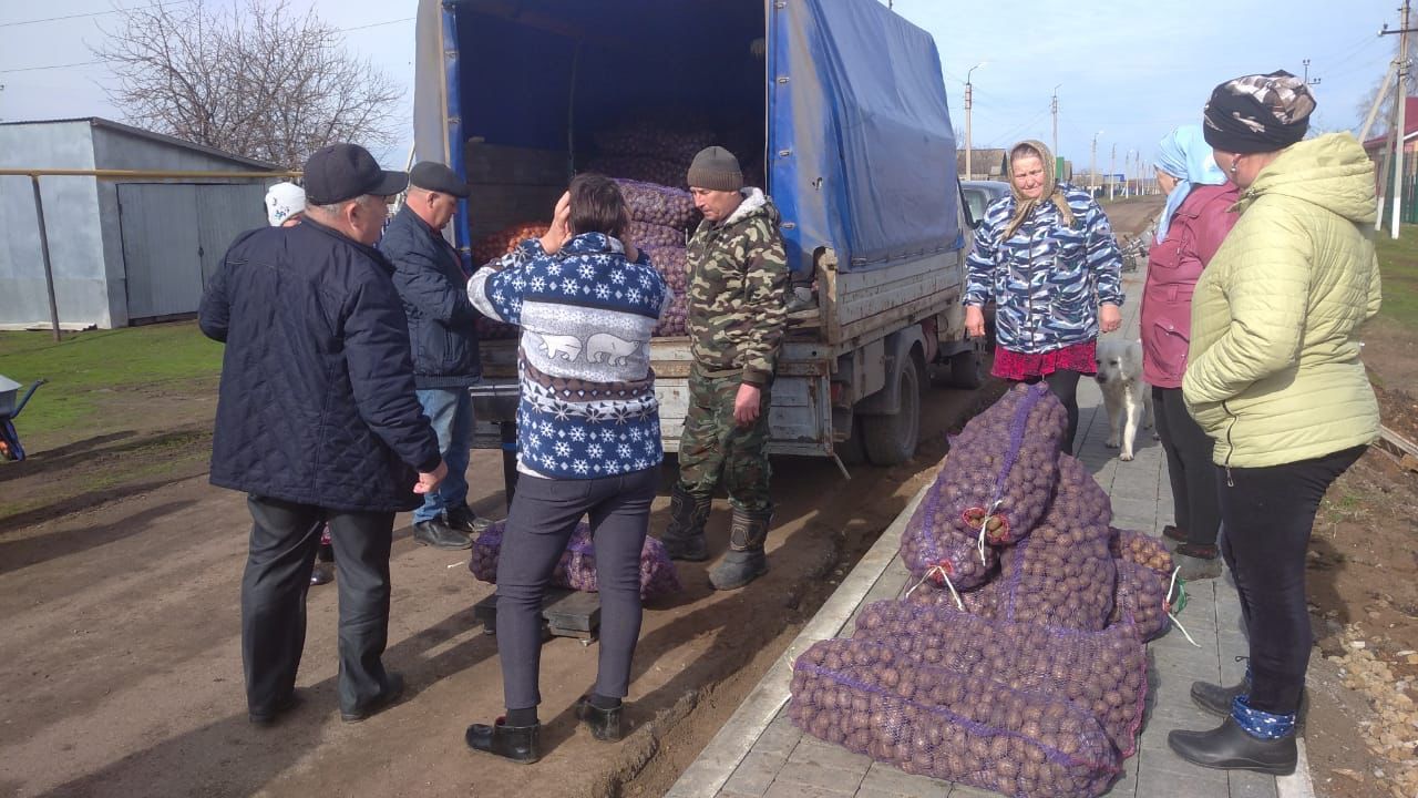 Население Якушкинского сельского поселения обеспечили семенным картофелем