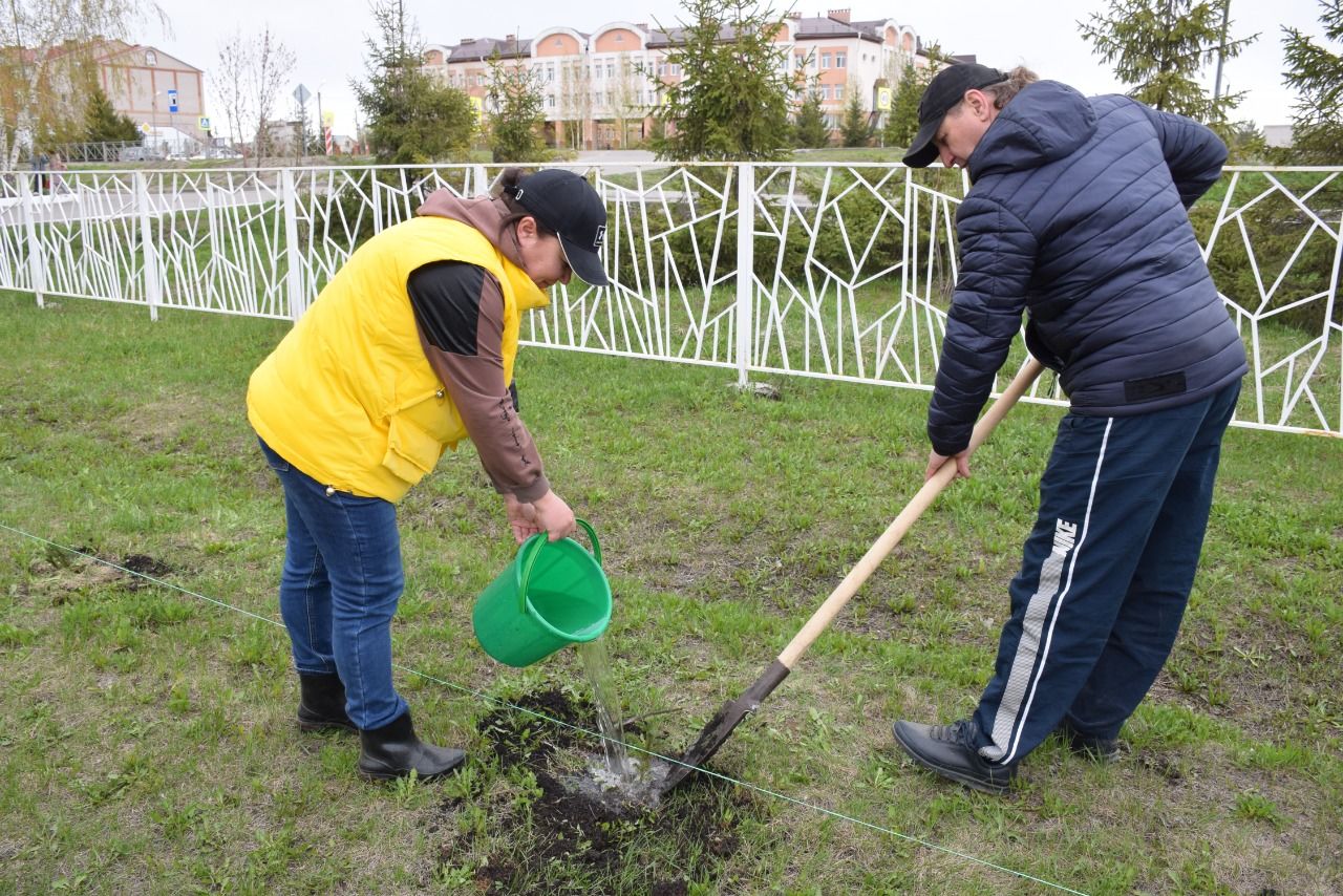 Алмаз Ахметшин принял участие в акции «Сад памяти»