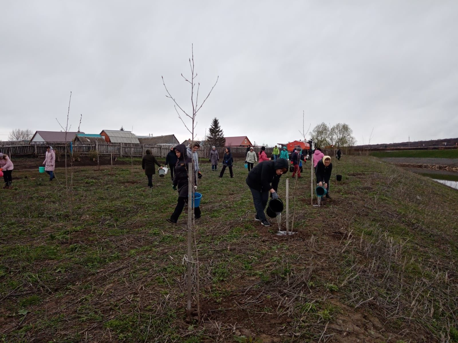 Муниципальные служащие Нурлатского района приняли участие в акции «Сад памяти»