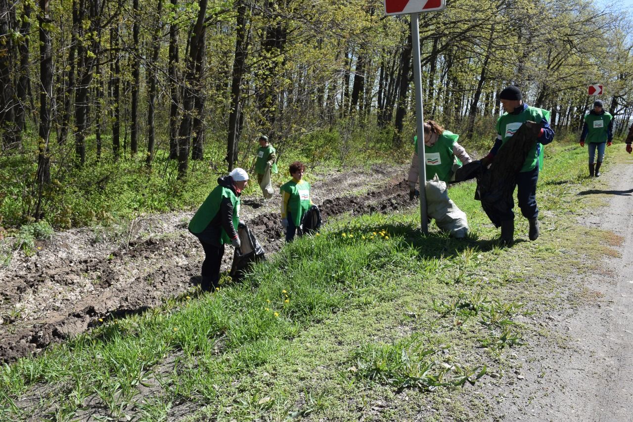 Нурлатцы участвуют в акции «Чистые леса «Татарстана»