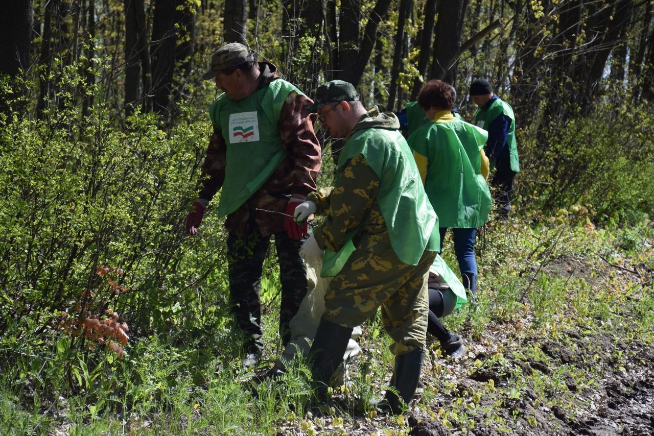 Нурлатцы участвуют в акции «Чистые леса «Татарстана»