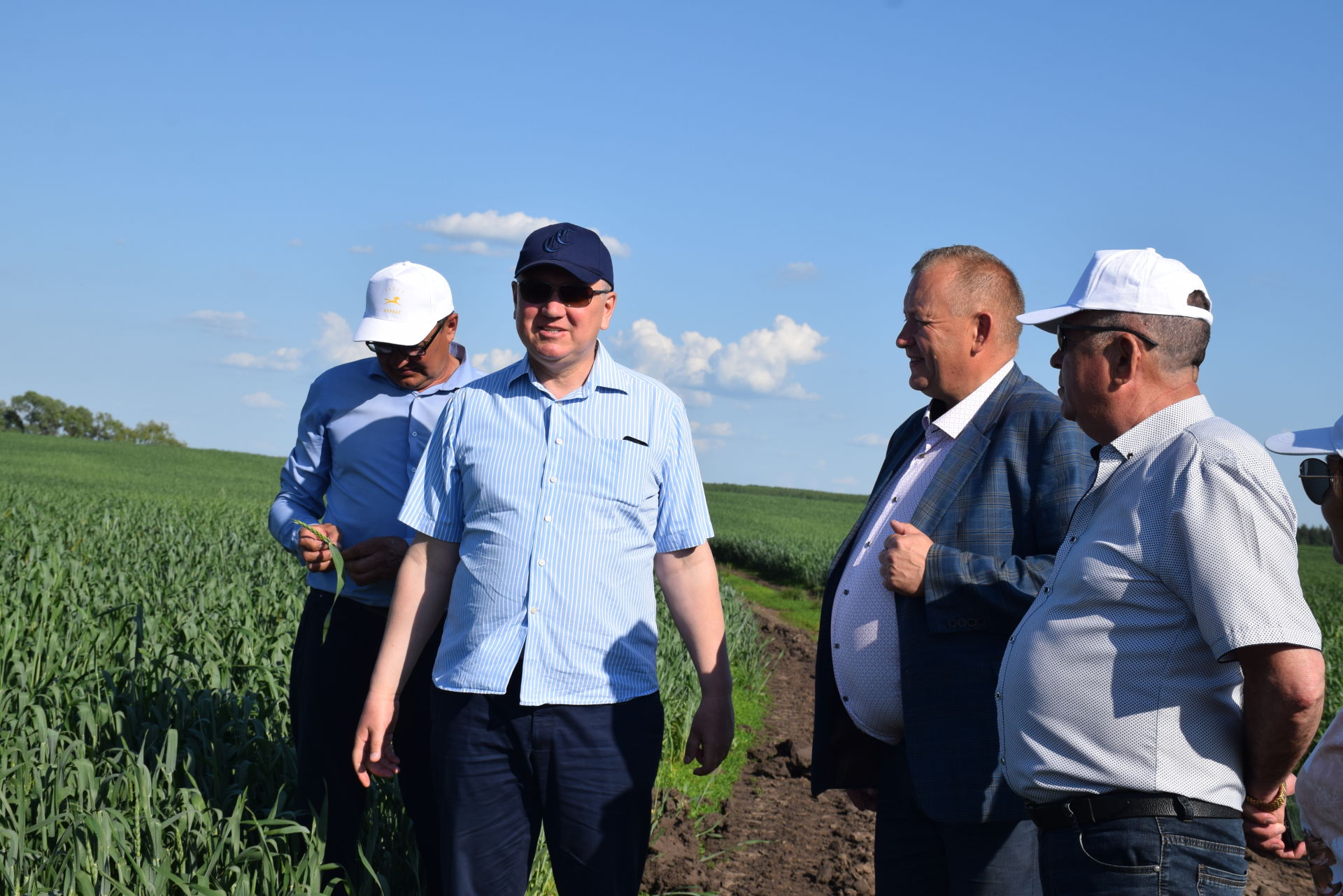 Глава района Алмаз Ахметшин посетил поля озимой пшеницы