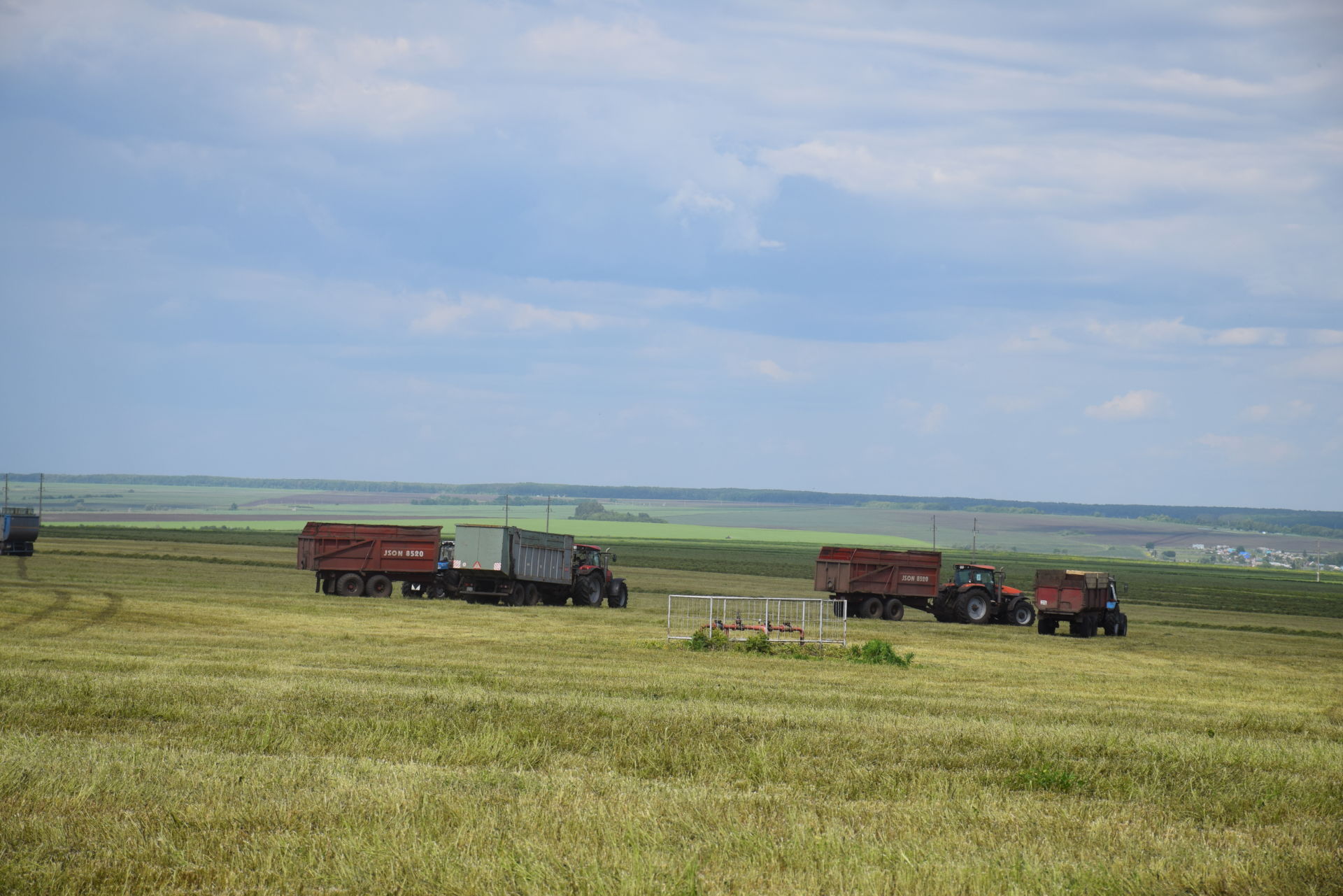 В агрофирме «Южная» Нурлатского района в полном разгаре идет заготовка кормов&nbsp;