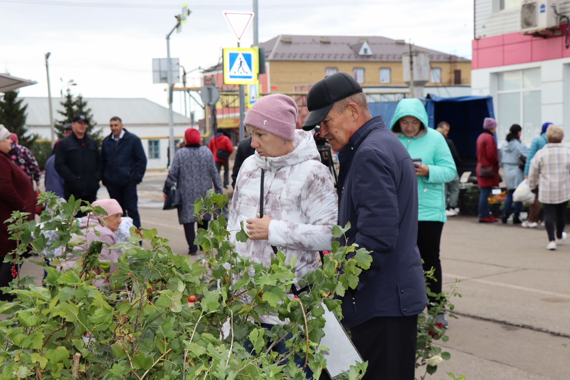 В Нурлате прошла первая осенняя сельскохозяйственная ярмарка