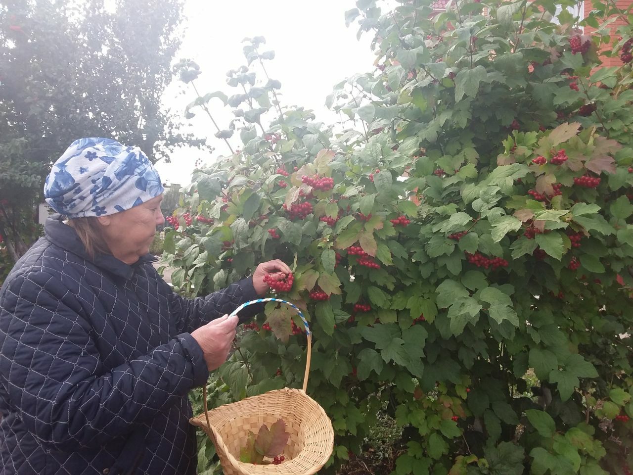 В Нурлатском дом-интернате провели экскурсию в осенний сад с проживающими