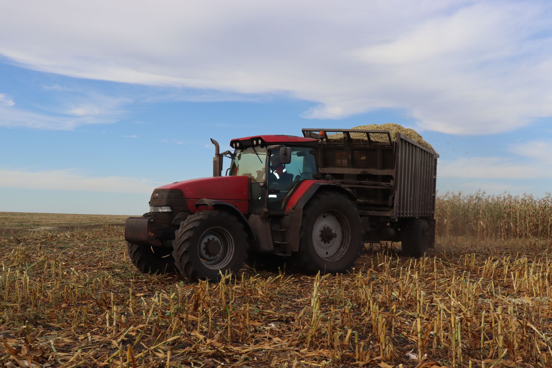 В Нурлатском районе идет уборка кукурузы на силос