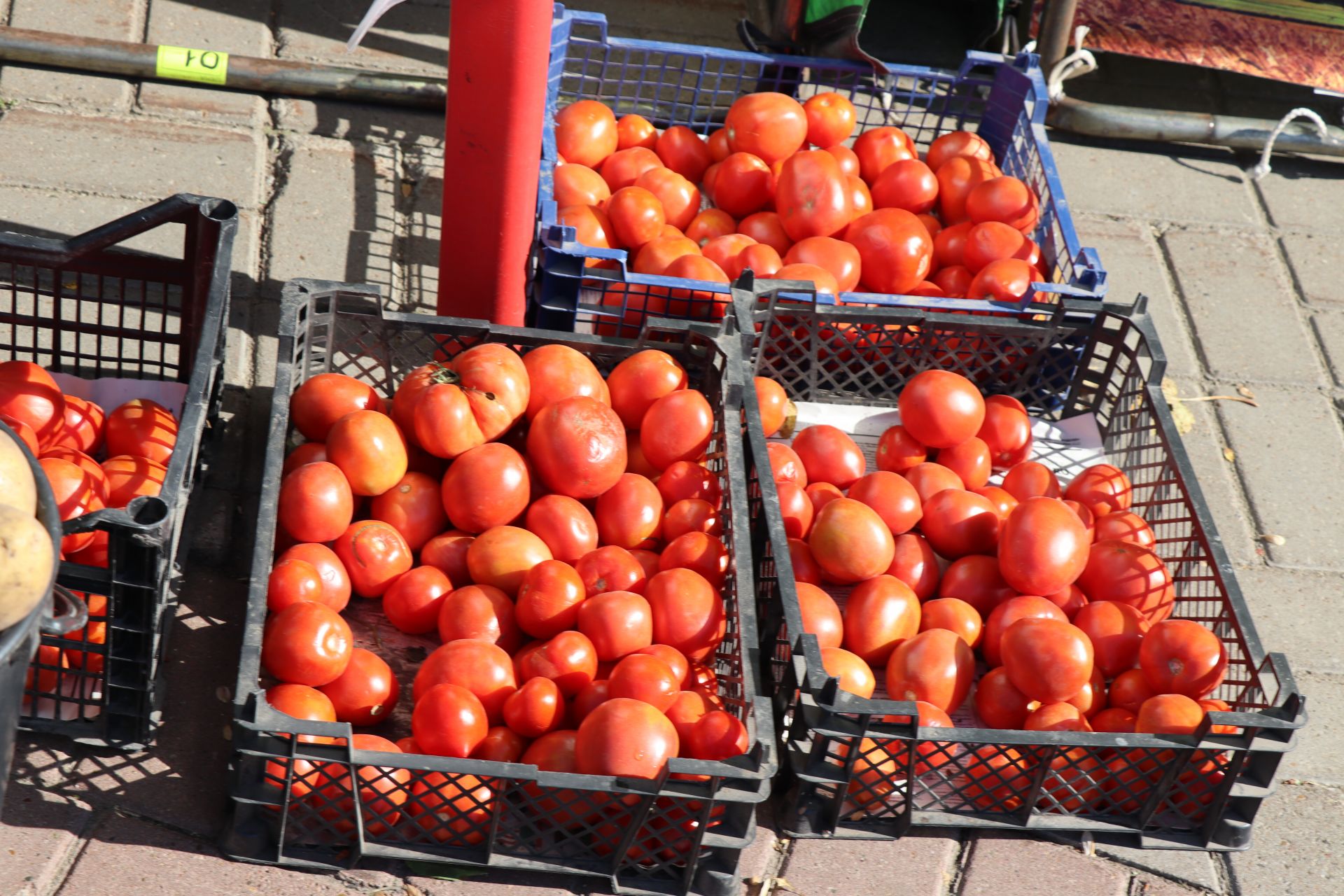 Праздничная ярмарка в Нурлате порадовала изобилием осенней продукции