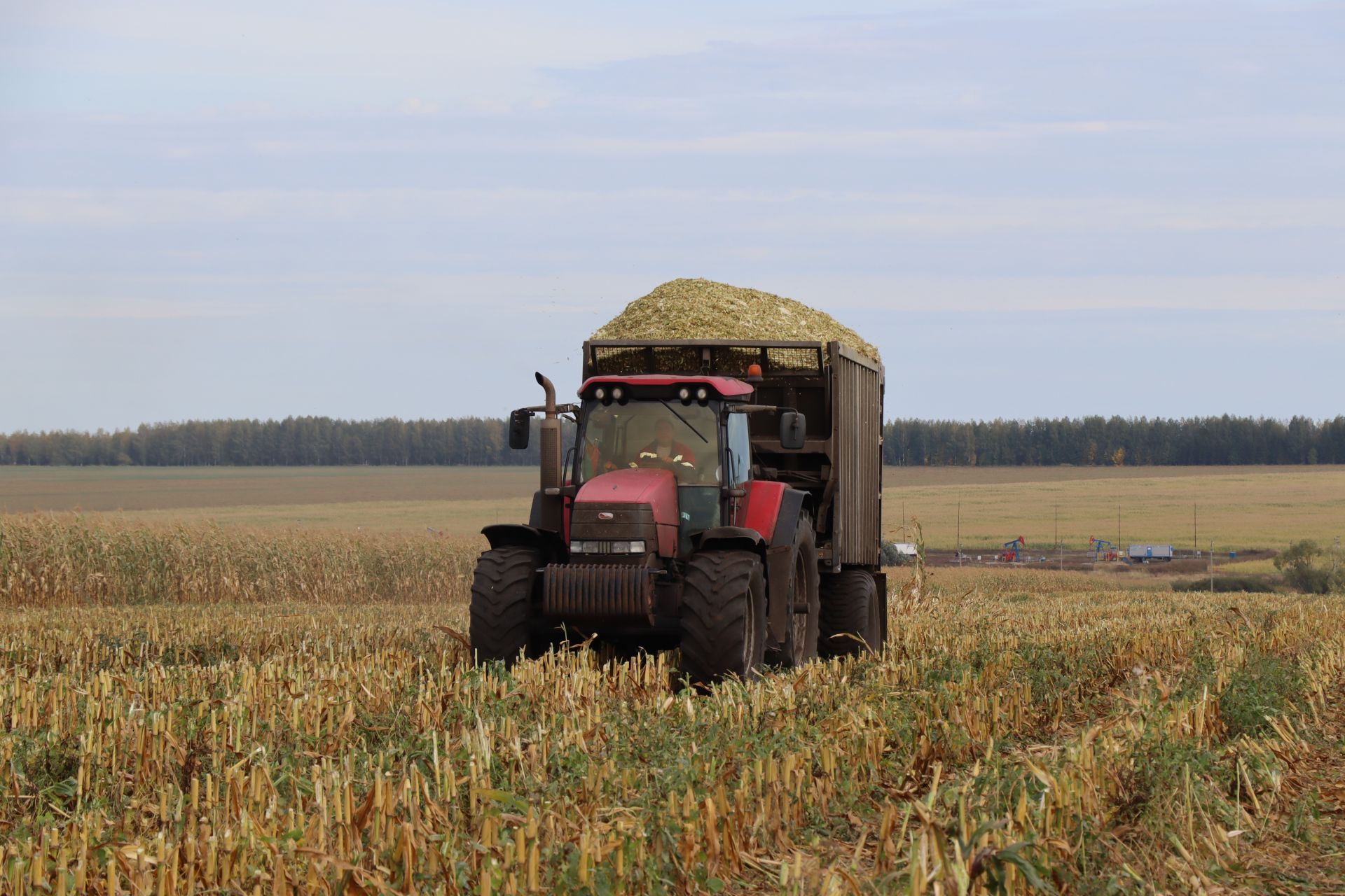 В Нурлатском районе идет уборка кукурузы на силос