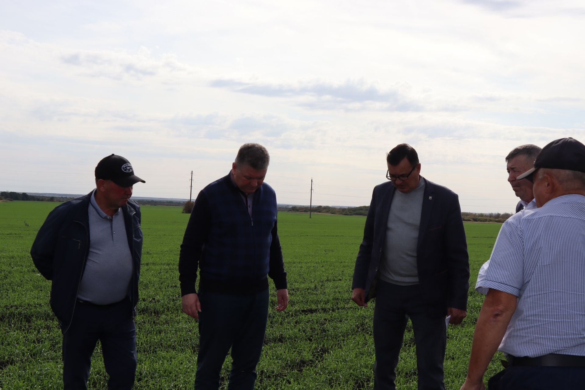 Глава Нурлатского района Алмаз Ахметшин побывал на полях агрофирмы «Южная»
