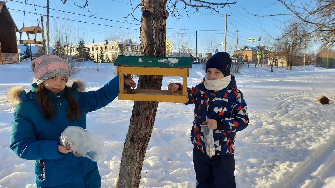 Юные нурлатцы открыли птичью столовую