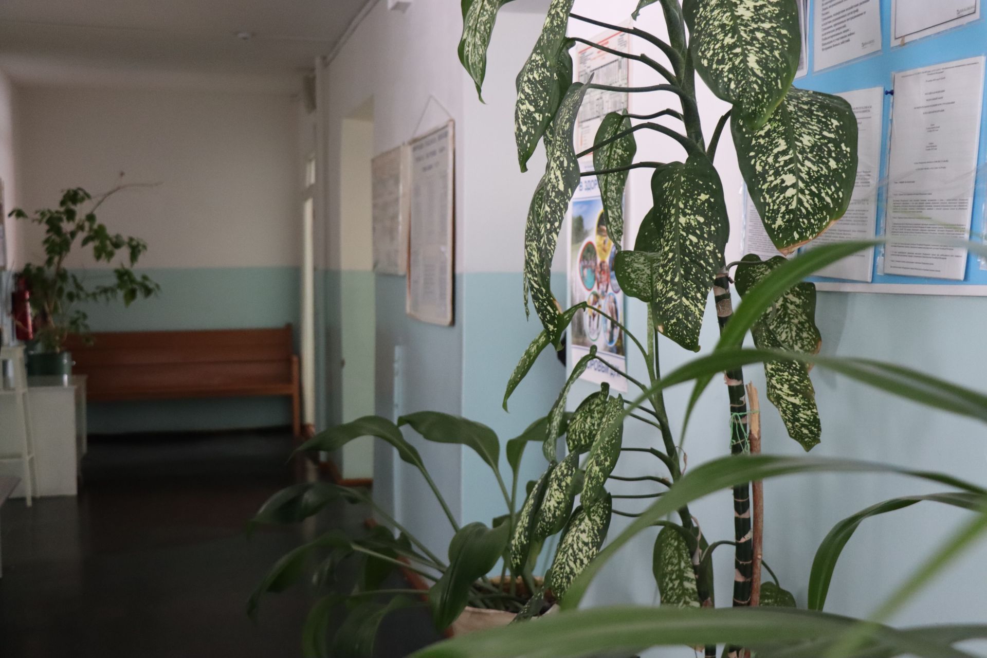 Алмаз Ахметшин посетил Чулпановскую участковую больницу