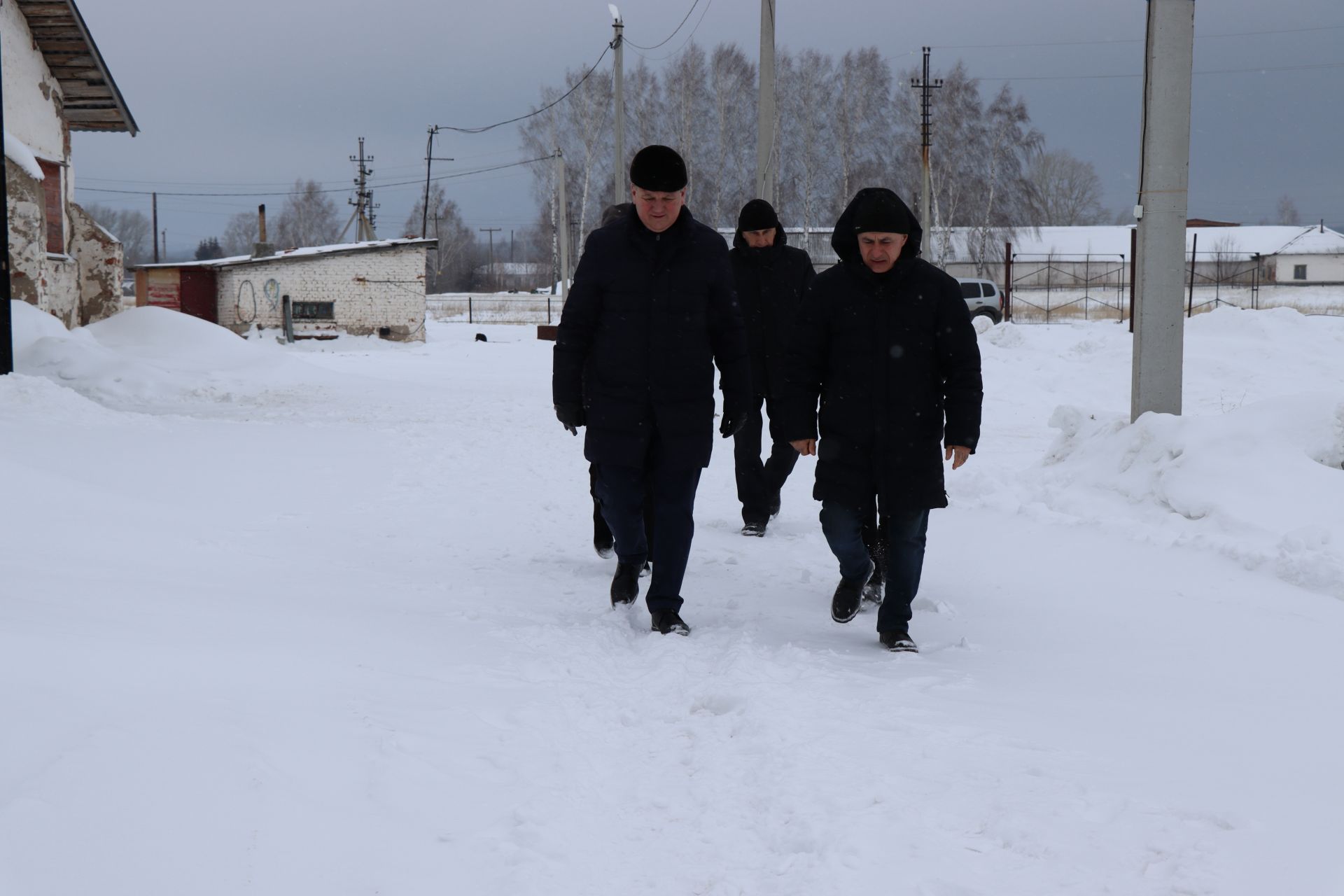 Алмаз Ахметшин посетил крестьянско-фермерское хозяйство Али Алиева в Тюрнясеве