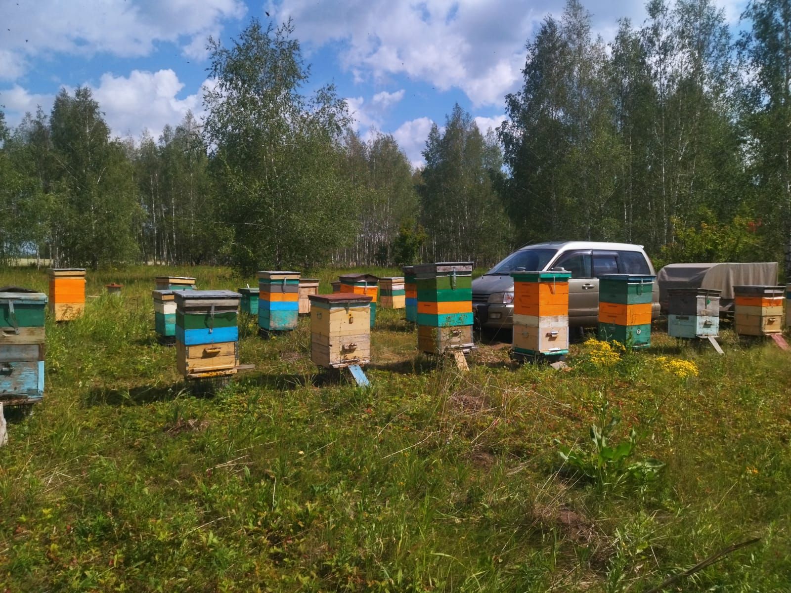 Семья Валиуллиных из Нового Иглайкина в эти дни пробует свежий гречишный мед