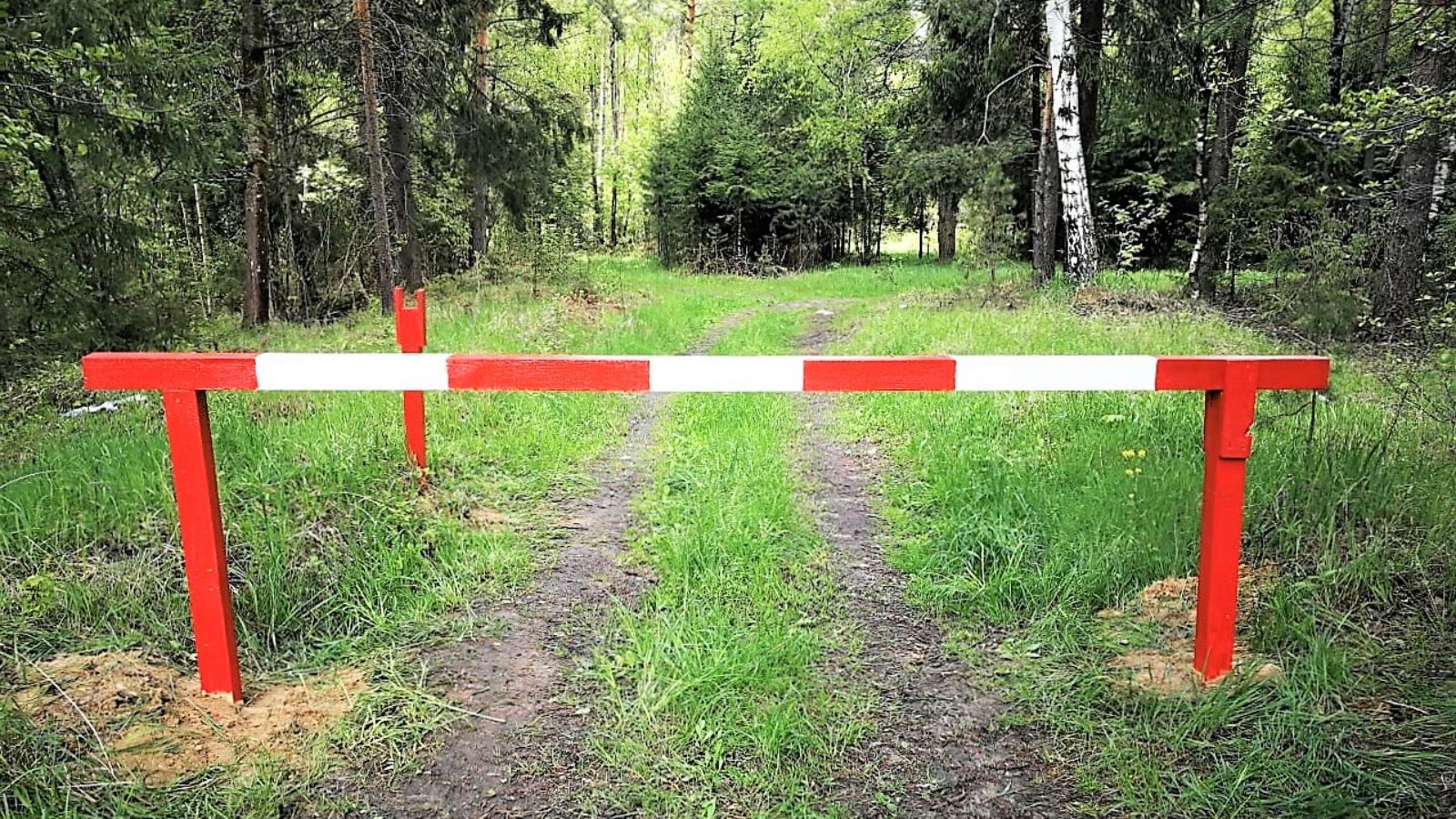 В Татарстане снова установлен временный запрет на посещение лесов