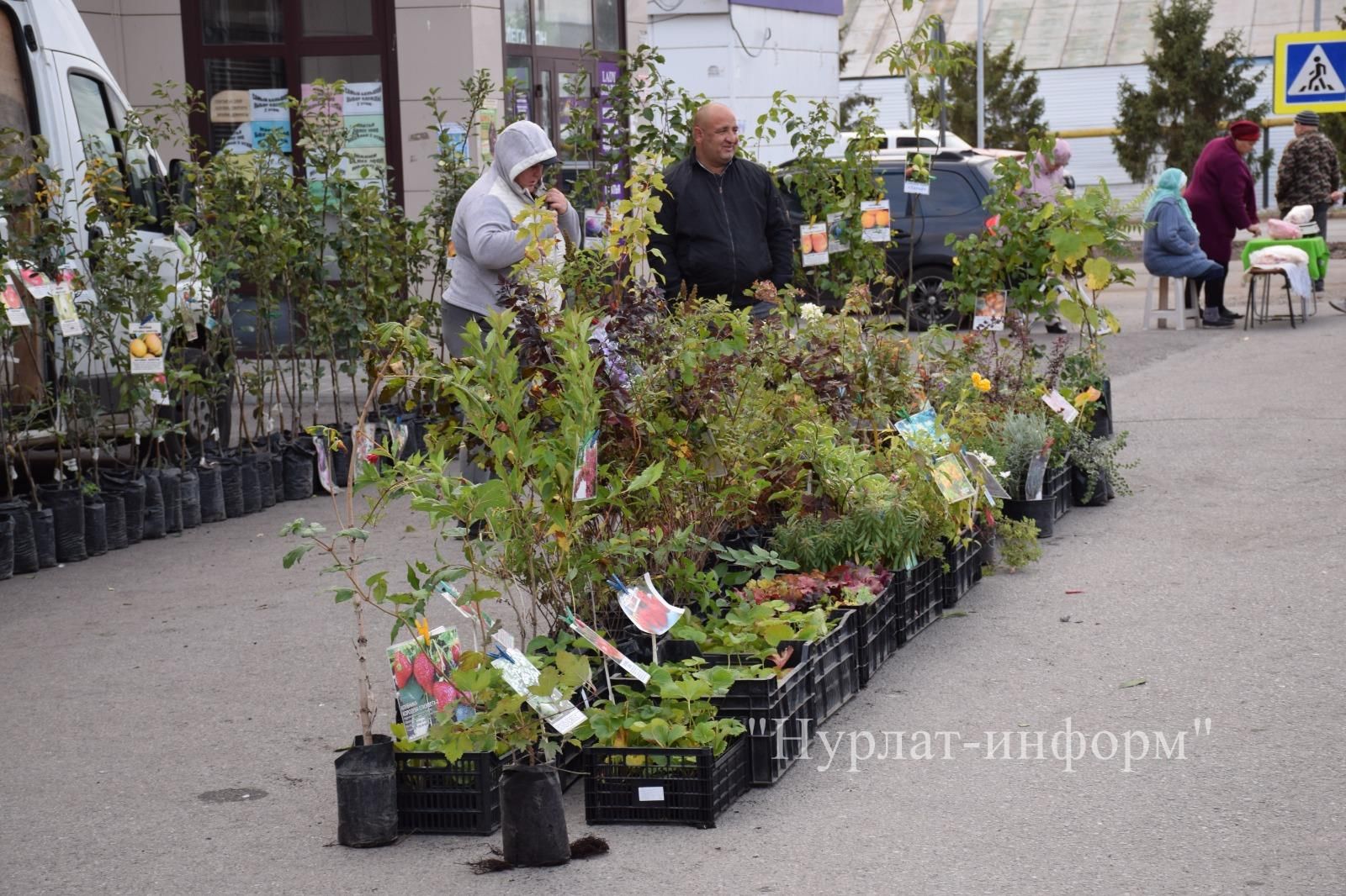 В Нурлате первая осенняя ярмарка посвящена Дню пожилого человека