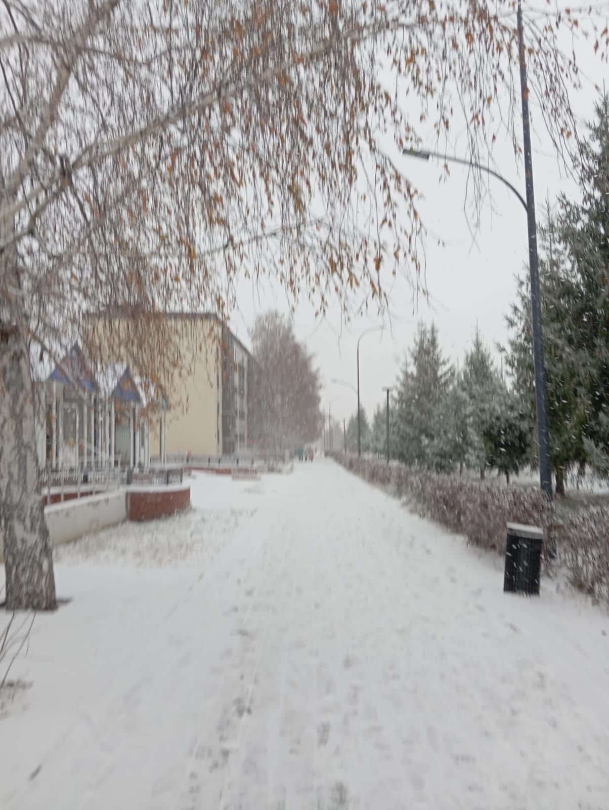 Снежный покров высотой 10-15 см обещает на этой неделе Гидрометцентр Татарстана