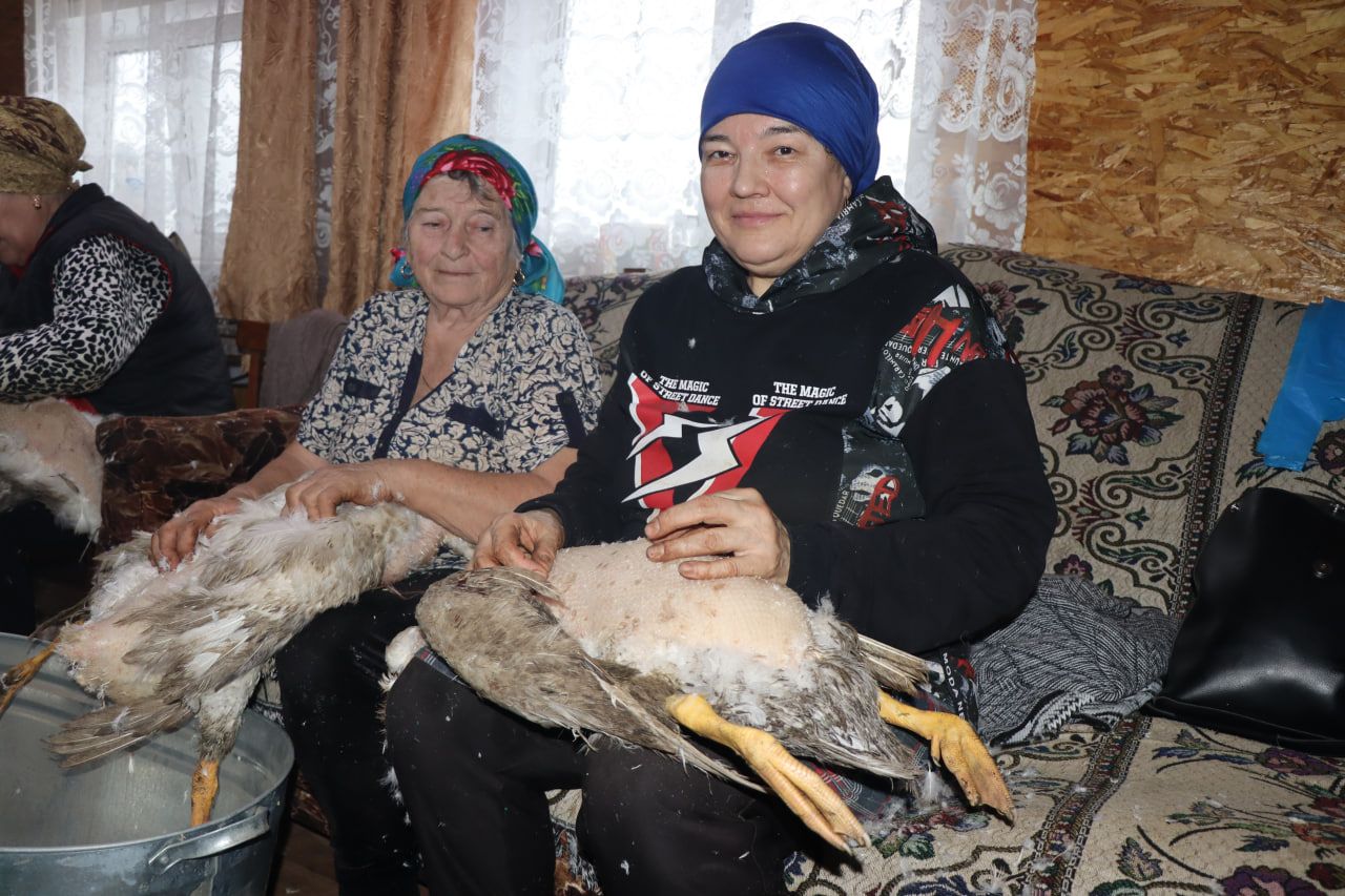 У Сагдеевых, проживающих в Светлом Озере, в эти дни проходят гусиные субботники