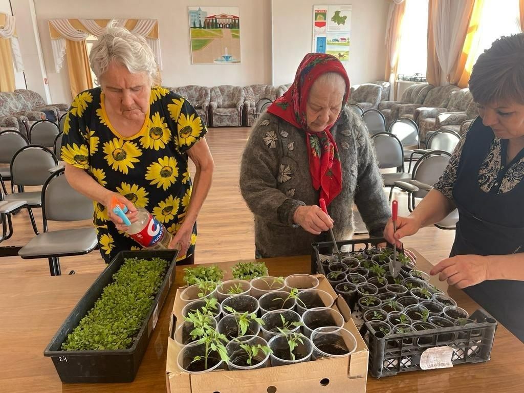 В Нурлатском доме-интернате получатели социальных услуг организовали кружок «Лукошко в окошко»