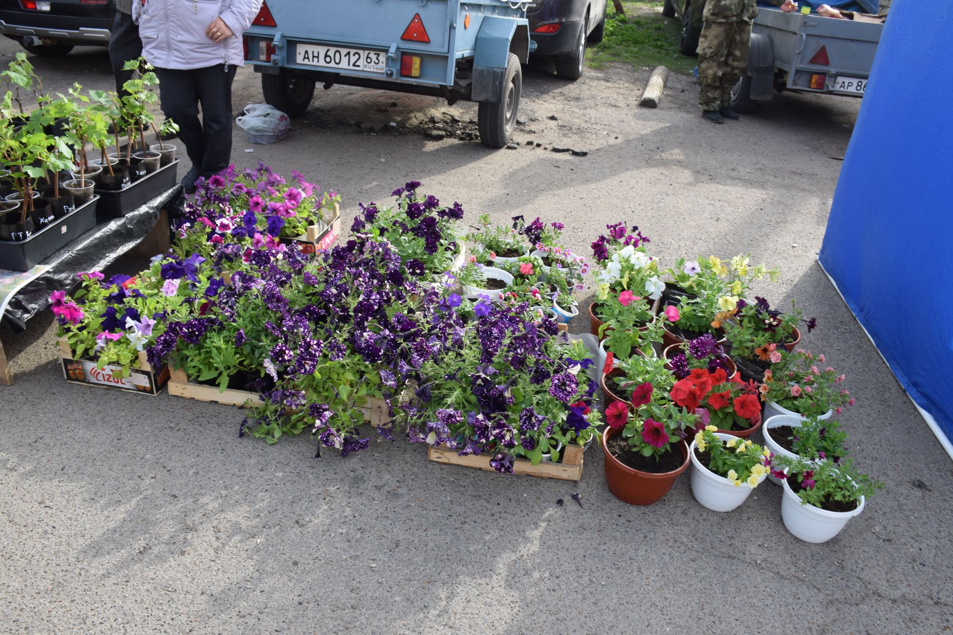 Ярмарка в Нурлате: свежие огурцы из теплицы, разноцветные яйца, живая рыба…