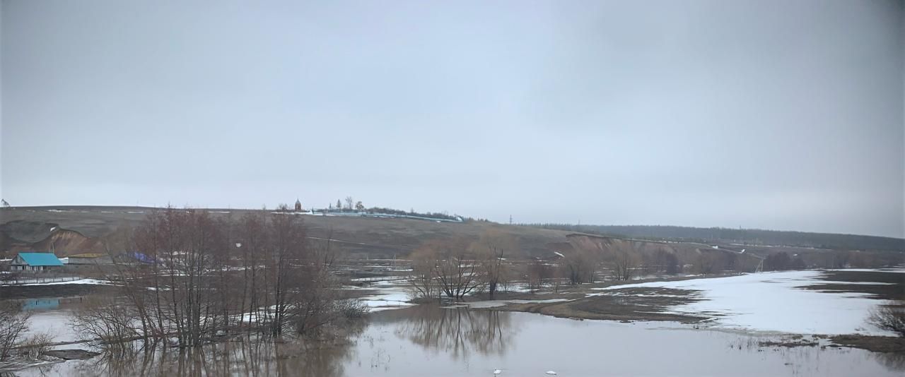 В Рус.Менчу прилетели белые лебеди