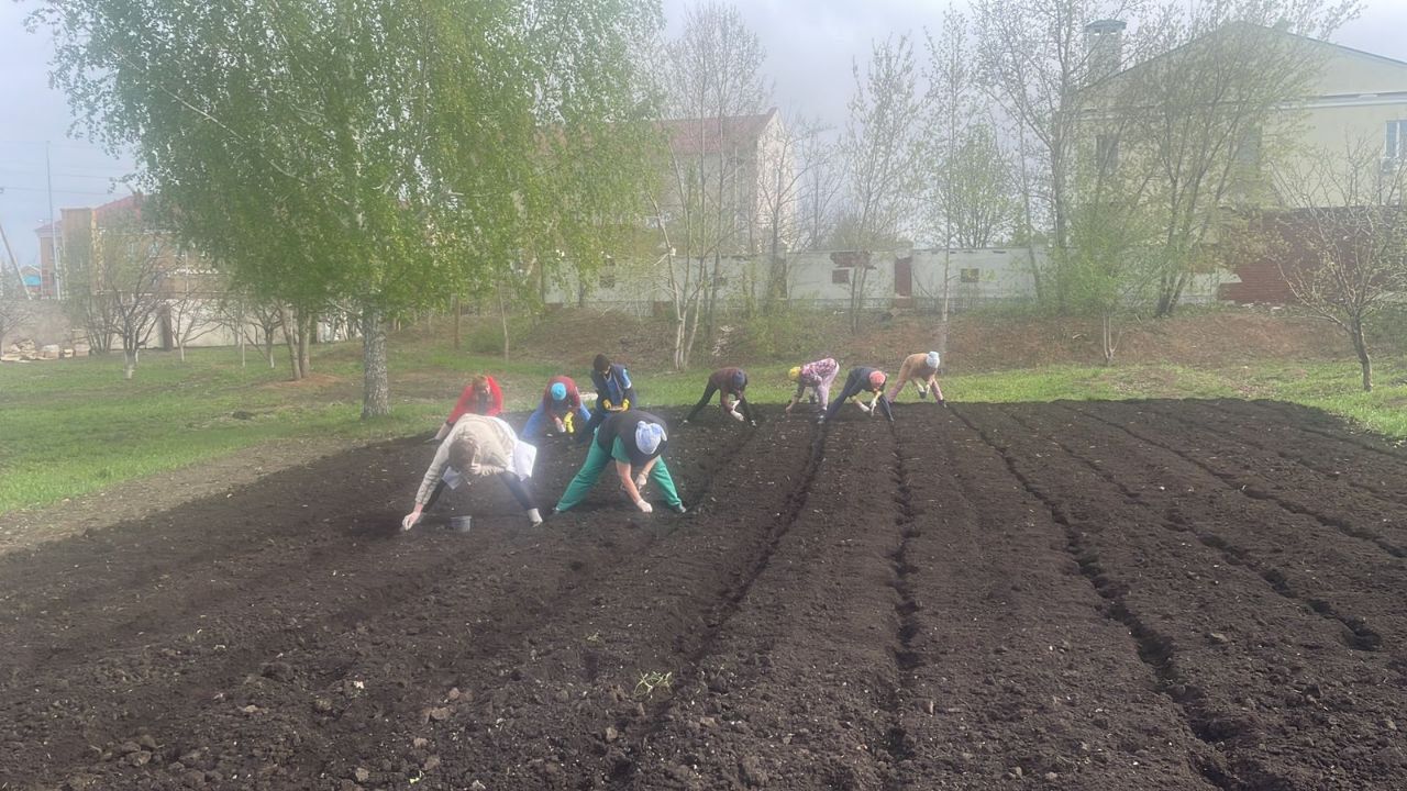 Май - время первых посадочных работ в огороде | 11.05.2024 | Нурлат -  БезФормата