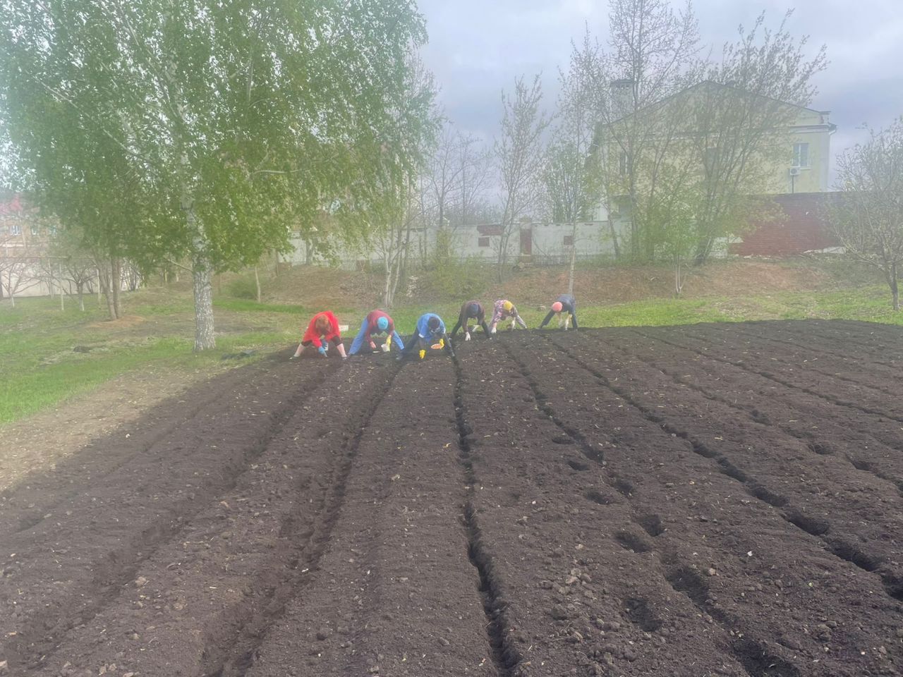 Май - время первых посадочных работ в огороде | 11.05.2024 | Нурлат -  БезФормата