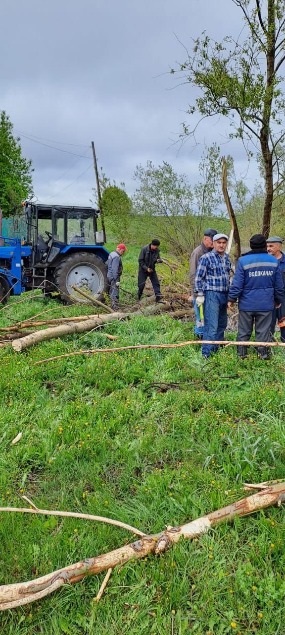 Берег озера в деревне Курнали Амзя Нурлатского района преобразился за один день