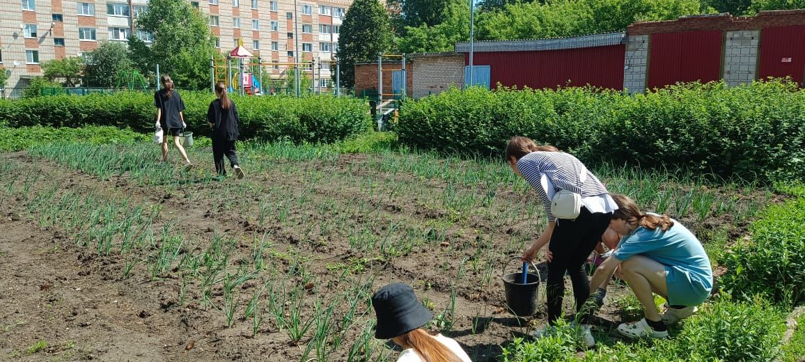 Нурлатские школьники получают первый трудовой опыт