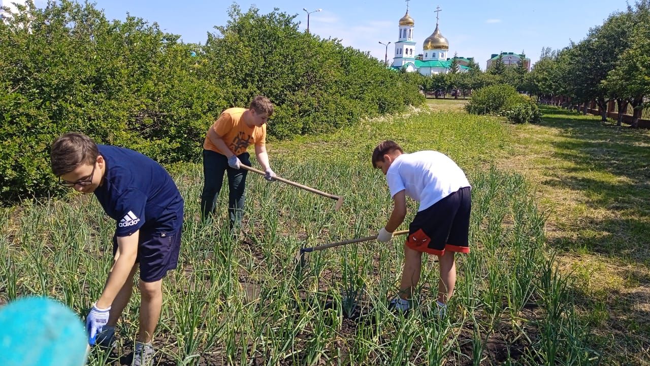 Нурлатские школьники получают первый трудовой опыт