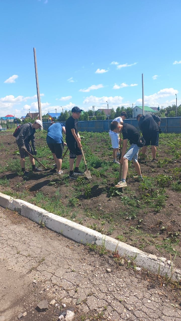 Нурлатские школьники получают первый трудовой опыт