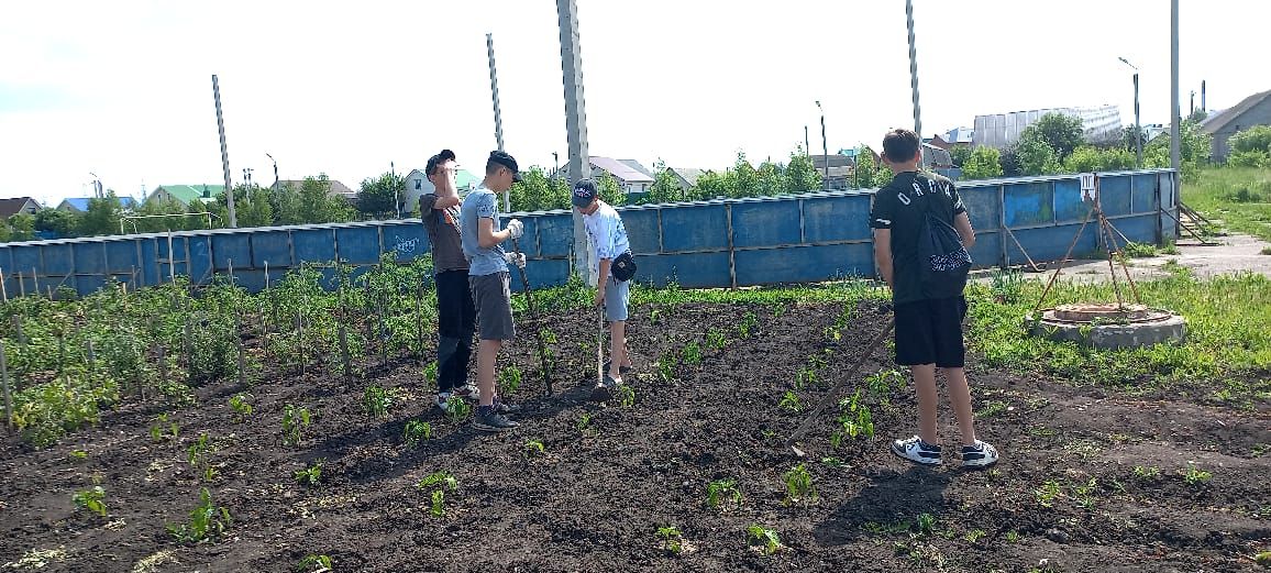 Нурлатские школьники получают первый трудовой опыт