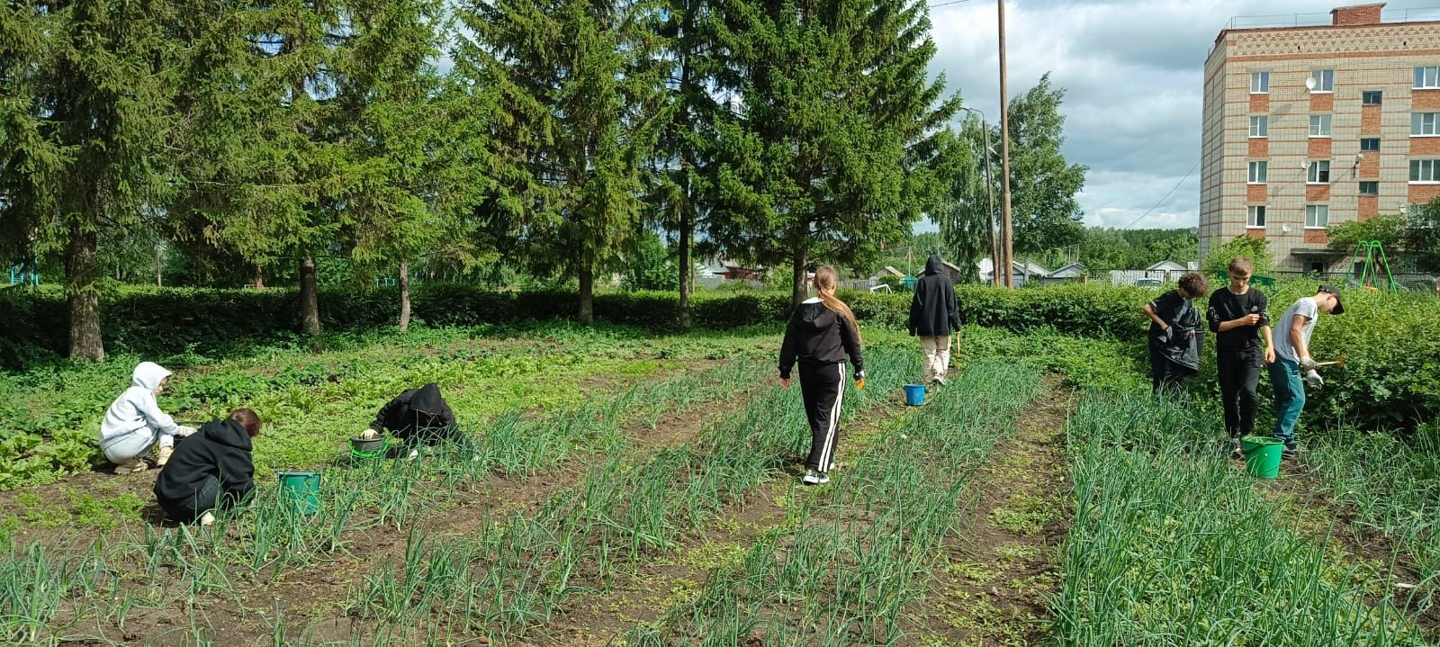 Нурлатские школьники получают первый трудовой опыт