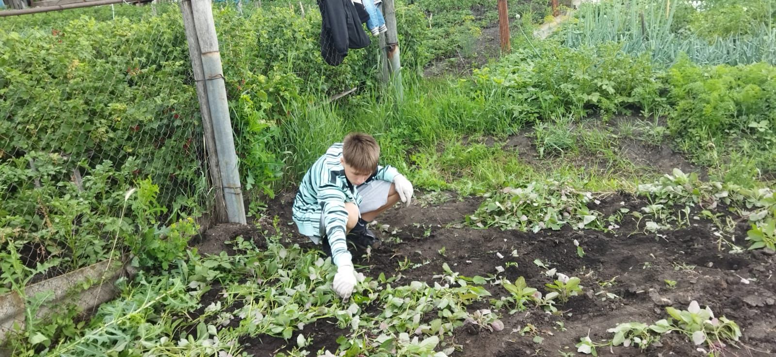 Нурлатские школьники получают первый трудовой опыт