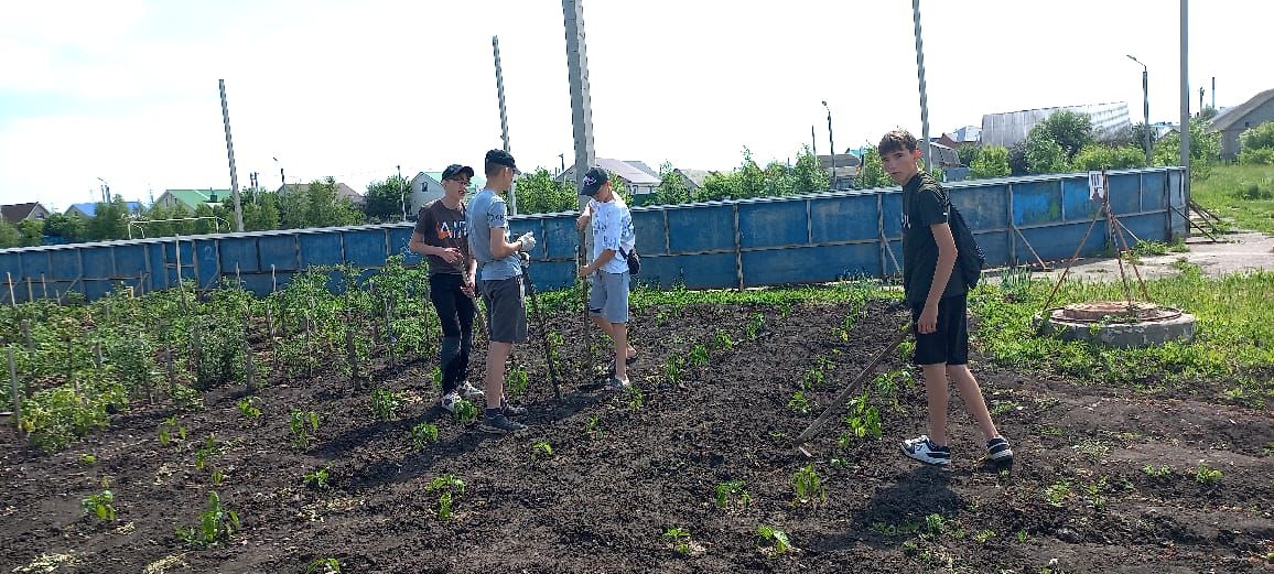 Нурлатские школьники получают первый трудовой опыт