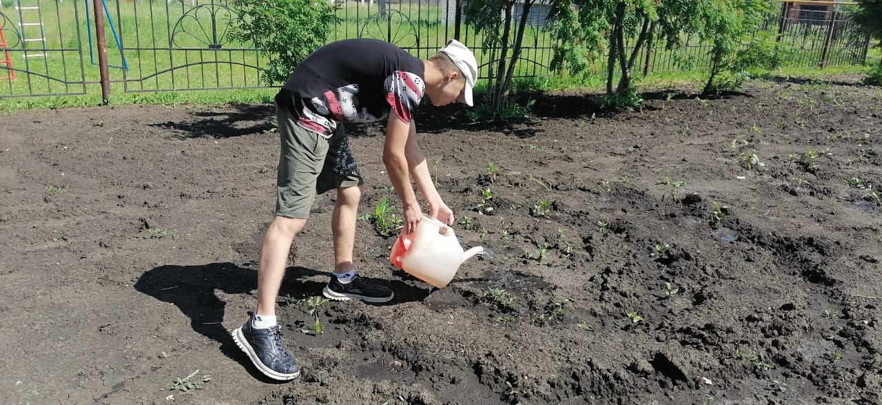 Нурлатские школьники получают первый трудовой опыт