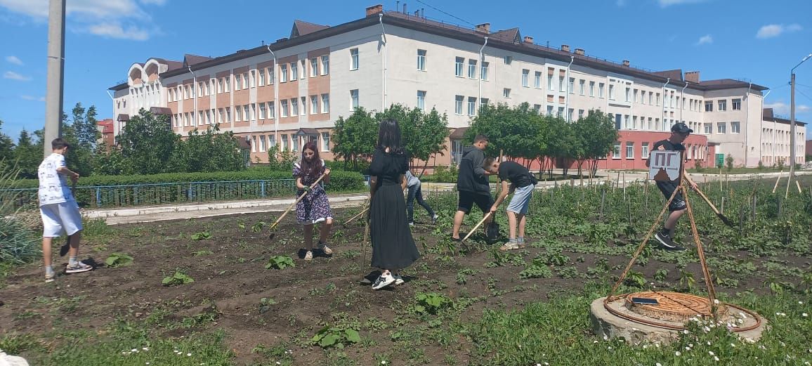 Нурлатские школьники получают первый трудовой опыт