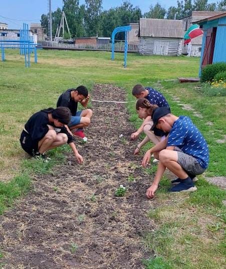 Нурлатские школьники получают первый трудовой опыт