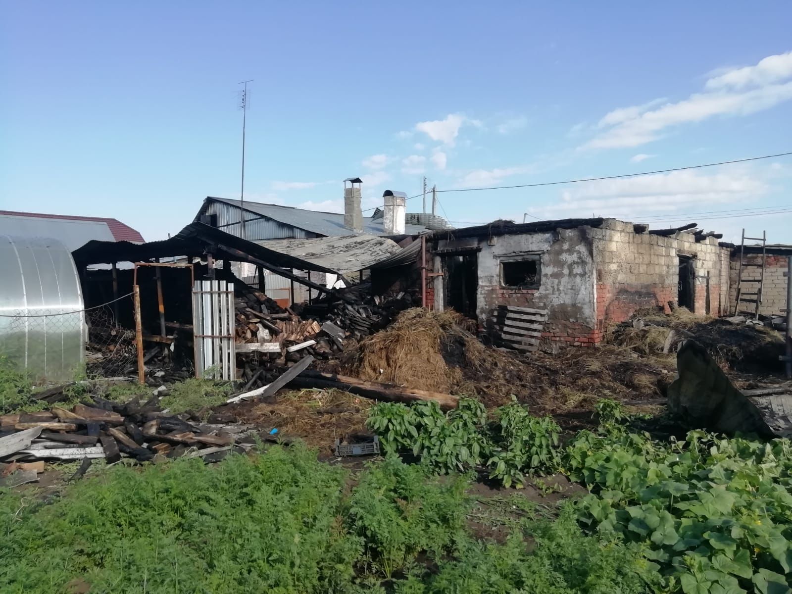 В пожаре козочек спасли, а машина сгорела