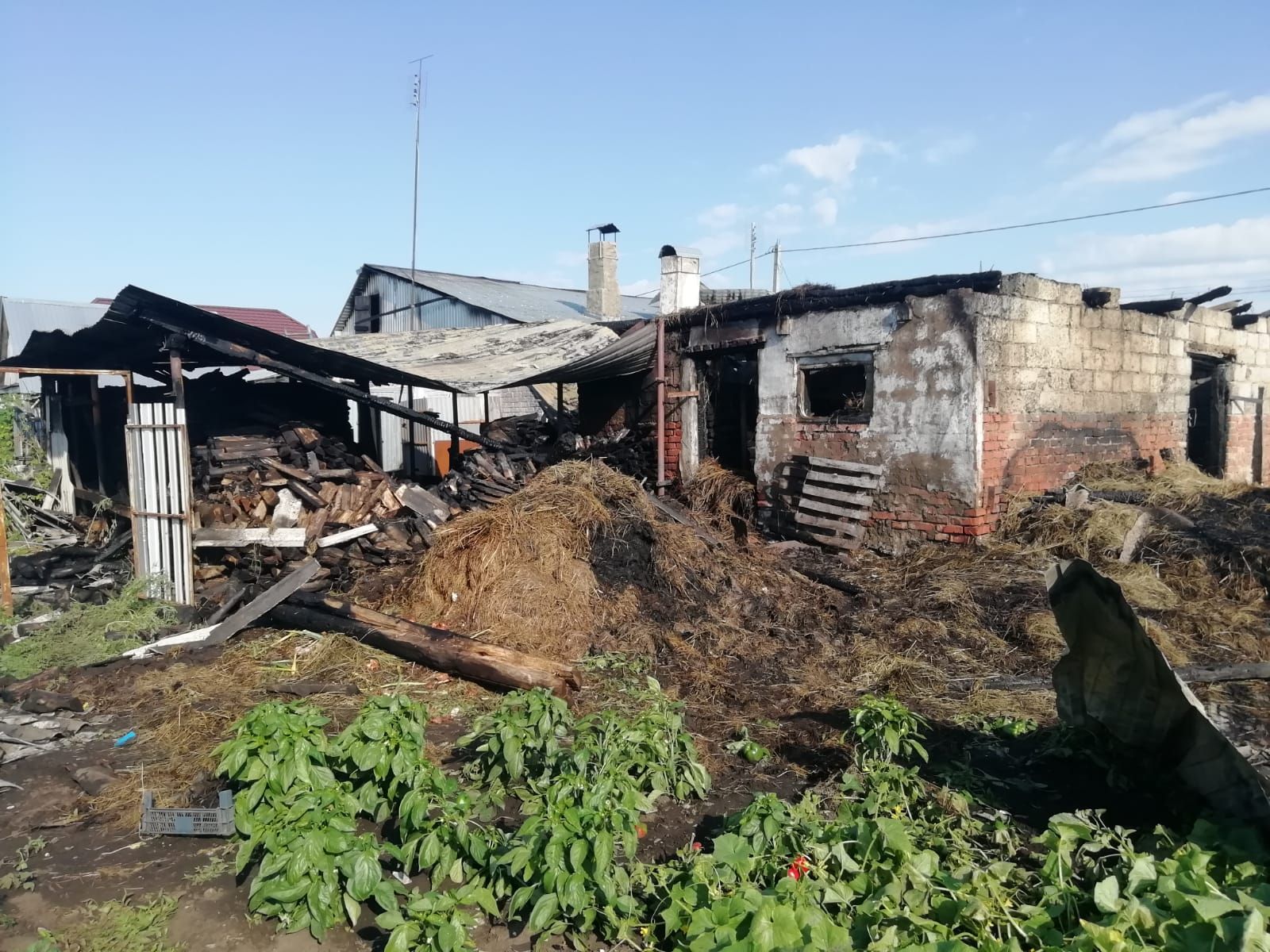 В пожаре козочек спасли, а машина сгорела