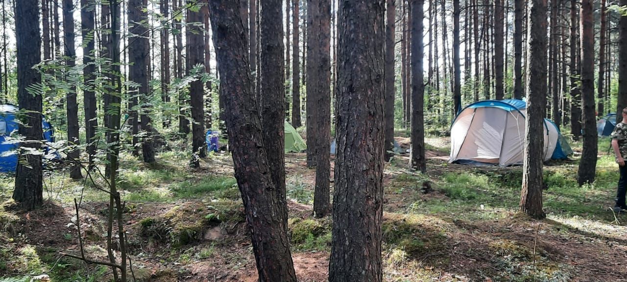 Члены поискового отряда «Легенда» стали гостями праздника в городе Тосно Ленинградской области