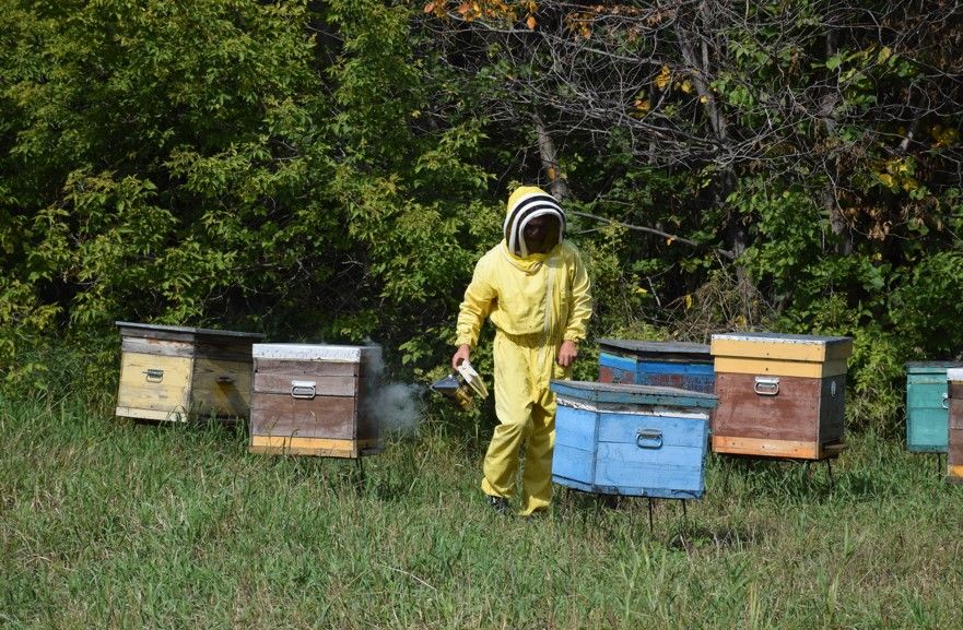 Капитовы из Селенгушей с раннего детства воспитывают в детях любовь к пчеловодству